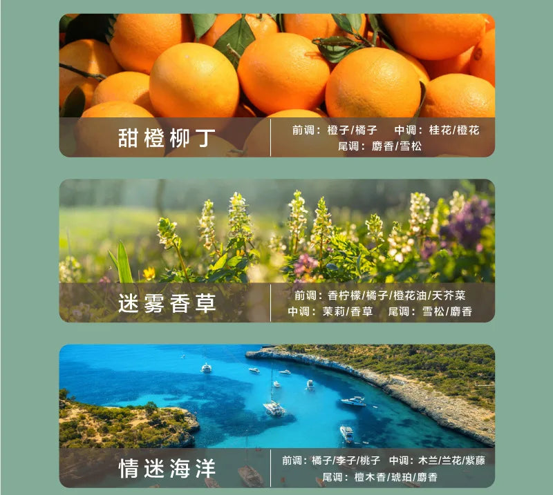 Crystal Glass Jar Scented Candles – Coconut Wax