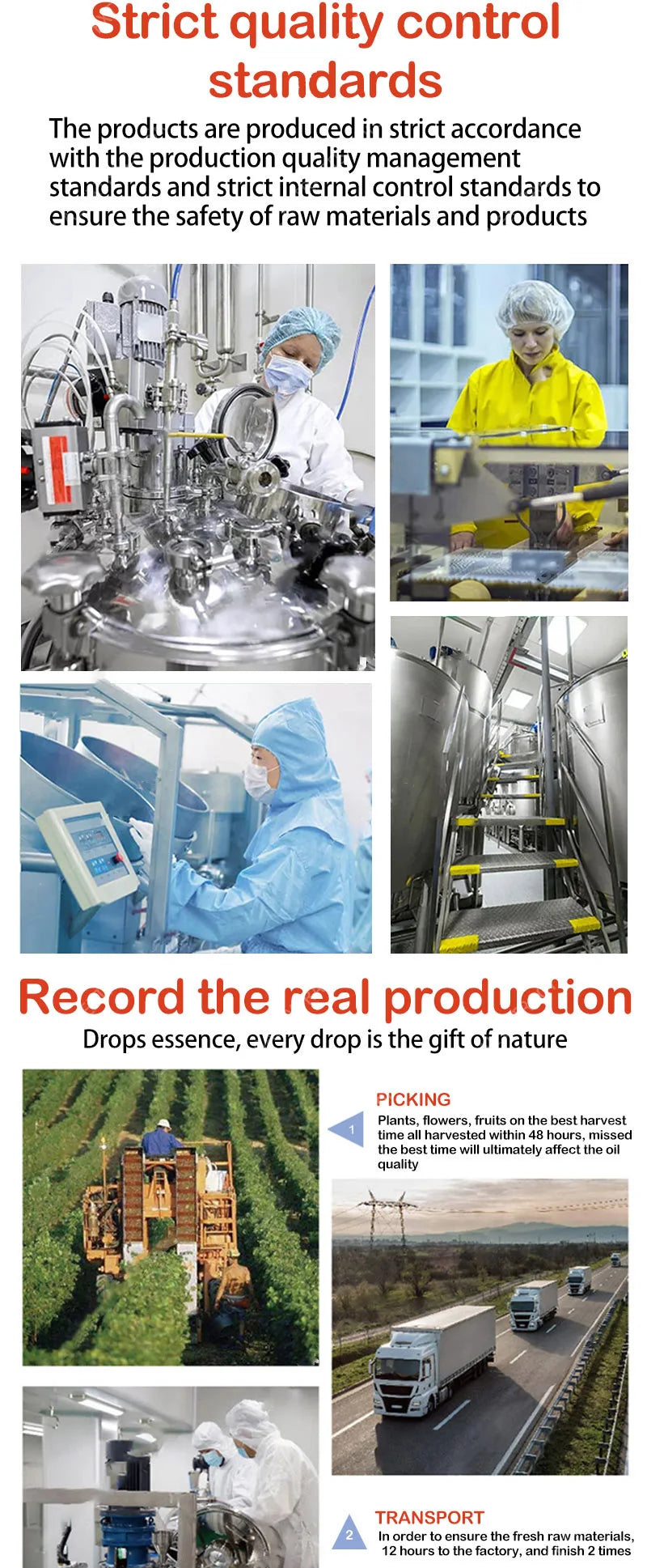 Pore Shrinking Serum – Tightening & Pore Minimizing Facial Essence