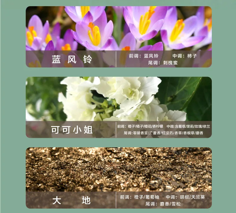 Crystal Glass Jar Scented Candles – Coconut Wax