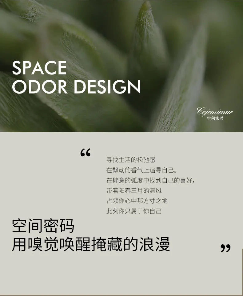 260ml Aromatherapy Essential Oil Set for Diffuser