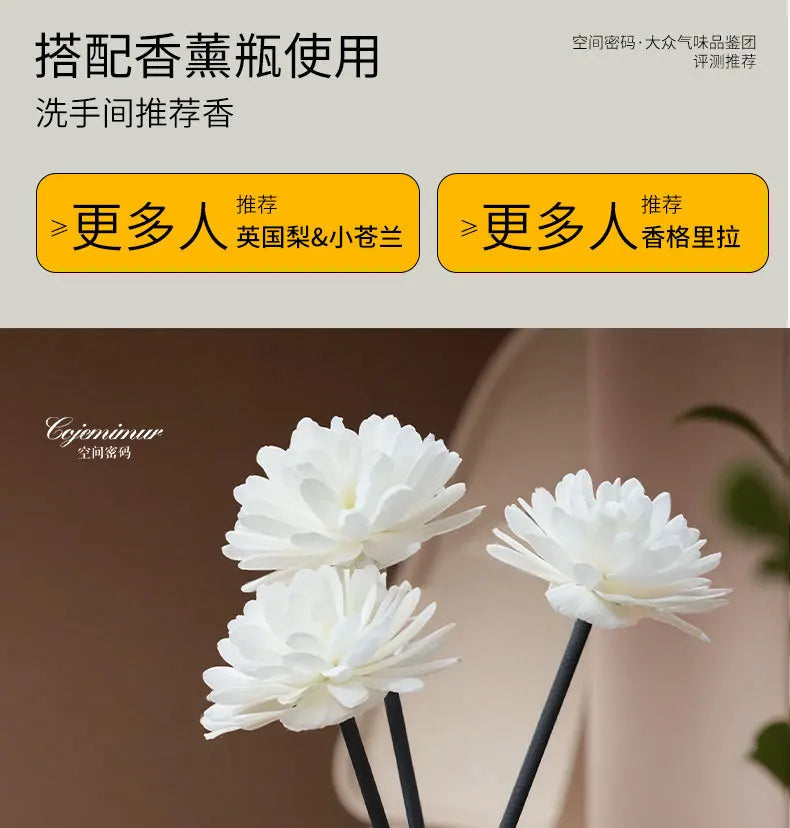 260ml Aromatherapy Essential Oil Set for Diffuser