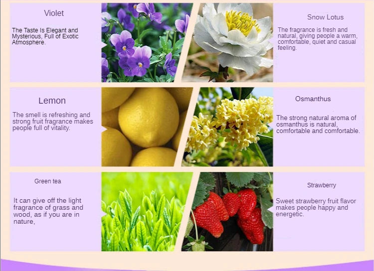 12pcs 3ml Natural Plant Essential Oil Set